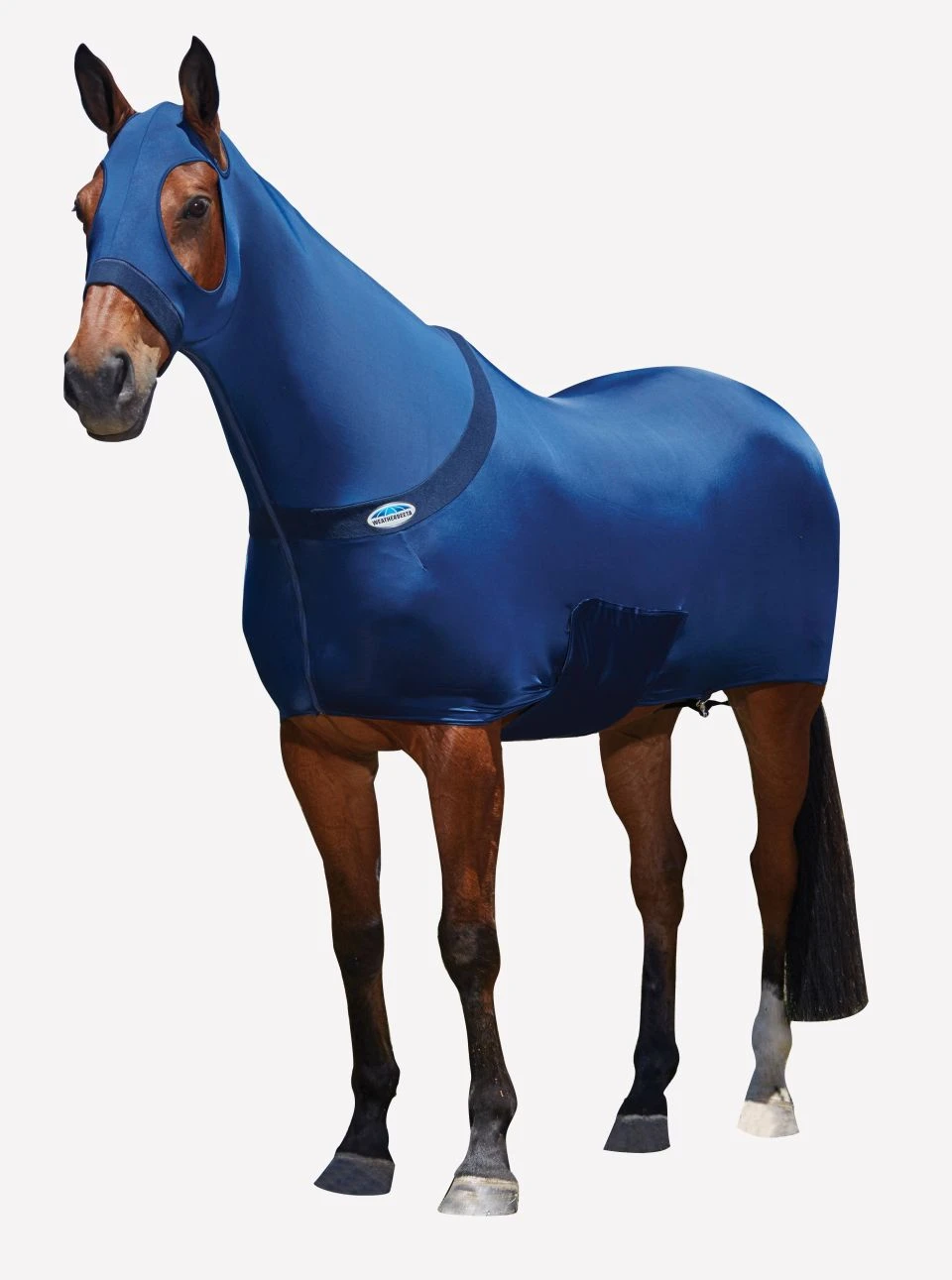 Weatherbeeta Stretch Rug With Belly Closure - Navy 3 Weatherbeeta Stretch Rug With Belly Closure - Navy