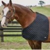 Weatherbeeta Deluxe Shoulder Guard - Black -Equestrian Supply Store 589563rdy