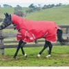Weatherbeeta ComFiTec Classic Combo Heavy - Red/Silver/Navy -Equestrian Supply Store 801493rdy