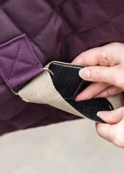 Amigo Stable Plus Medium Disc - Fig -Equestrian Supply Store amgostableplus2rdy