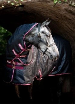 Amigo Hero 600D Ripstop Plus Lite - Navy HW Print/Burgundy 8 Amigo Hero 600D Ripstop Plus Lite - Navy HW Print/Burgundy -Equestrian Supply Store amigo hero ripstop plus hwprint 3rdy