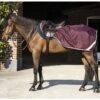 Amigo Ripstop Competition Sheet - Fig/Navy -Equestrian Supply Store amigocompsheetfigrdy 1