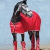 Amigo Jersey Cooler Rug - Red/White/Green 2 Amigo Jersey Cooler Rug - Red/White/Green -Equestrian Supply Store amigocooler.red .rdy