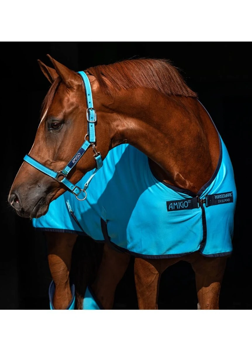 Amigo Headcollar - Delphinium 3 Amigo Headcollar - Delphinium