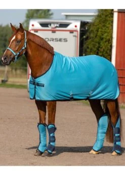 Amigo Ripstop Travel Boots - Delphinium 7 Amigo Ripstop Travel Boots - Delphinium -Equestrian Supply Store amigocoolerdelphrdy 1