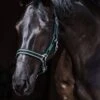 Amigo Headcollar - Black/Teal -Equestrian Supply Store amigohc1
