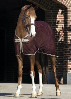 Amigo Net Cooler - Fig