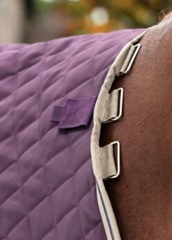 Amigo Stable Plus Medium Disc - Fig -Equestrian Supply Store amigostableplusrdy