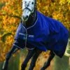 Amigo Bravo 12 Lite Turnout Rug - Navy 1 Amigo Bravo 12 Lite Turnout Rug - Navy -Equestrian Supply Store aml brvo 12 navy