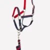 Anky Halter & Lead - Ink Blue -Equestrian Supply Store ankyhalter1