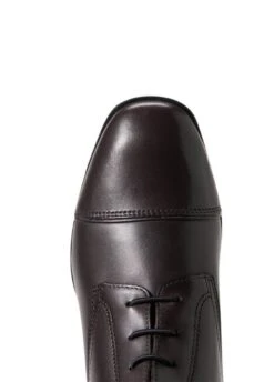 Ariat Womens Palisade Tall Boot - Cocoa 13 Ariat Womens Palisade Tall Boot - Cocoa -Equestrian Supply Store ariat palisade tall boot cocoa 6rdy