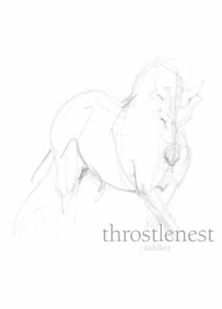 AriatTEK Slimline Performance Socks - Reflecting Pond/Arctic