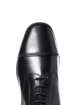 Ariat Womens Palisade Tall Boot - Black -Equestrian Supply Store ariatpalisaderdy