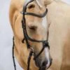 PS Of Sweden Athens Bridle - Black -Equestrian Supply Store athensblk3rdy