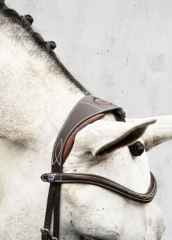 PS Of Sweden Athens Bridle - Brown 14 PS Of Sweden Athens Bridle - Brown -Equestrian Supply Store athensbrn2rdy