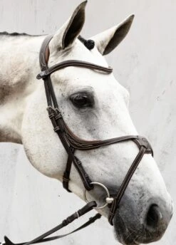 PS Of Sweden Athens Bridle - Brown 11 PS Of Sweden Athens Bridle - Brown -Equestrian Supply Store athensbrn3rdy