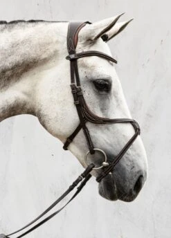 PS Of Sweden Athens Bridle - Brown 12 PS Of Sweden Athens Bridle - Brown -Equestrian Supply Store athensbrn4rdy