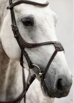 PS Of Sweden Athens Bridle - Brown 13 PS Of Sweden Athens Bridle - Brown -Equestrian Supply Store athensbrn5rdy