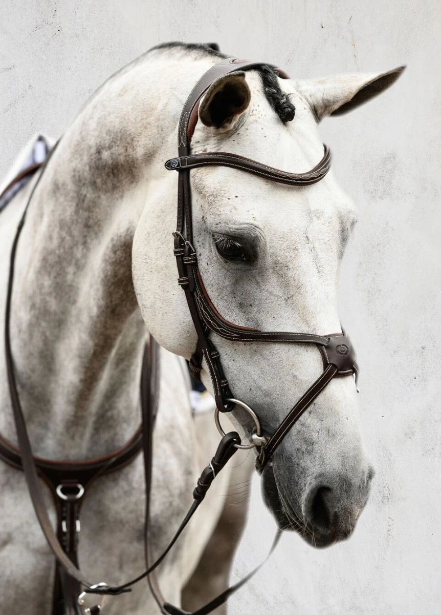 PS Of Sweden Athens Bridle - Brown 3 PS Of Sweden Athens Bridle - Brown