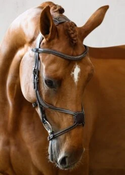 PS Of Sweden Athens Bridle - Brown 10 PS Of Sweden Athens Bridle - Brown -Equestrian Supply Store athensbrnrdy