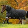 Amigo Bravo 12 Plus Medium Turnout - Black/Strong Blue & Black 2 Amigo Bravo 12 Plus Medium Turnout - Black/Strong Blue & Black -Equestrian Supply Store bravoplusmedblkstrblrdy