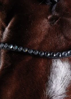 Collegiate Comfitec Crystal Training Bridle - Brown -Equestrian Supply Store collcrystal