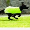 Rambo® Reflective Dog Rug - Hi Viz Yellow 2 Rambo® Reflective Dog Rug - Hi Viz Yellow -Equestrian Supply Store dog rug rambo viz
