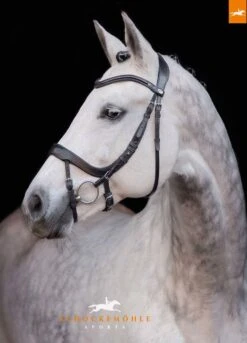 Schockemohle Equitus Alpha Bridle - Black -Equestrian Supply Store equitusalpha.blk .rdy