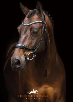 Schockemohle Equitus Beta Bridle - Black -Equestrian Supply Store equitusbetablacksilverrdy