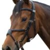Fairfax Grackle Noseband - Black -Equestrian Supply Store fairfax grackle noseband black 1rdy