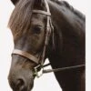 Sabre Eton Snaffle Bridle - Havana -Equestrian Supply Store fm 2012 02 14 08 12 27 30654