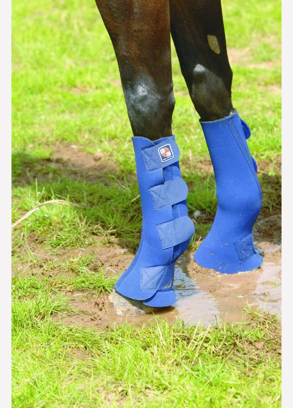 Equi-Chaps Hardy Chaps - Navy 3 Equi-Chaps Hardy Chaps - Navy