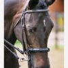 Equilibrium Net Relief Muzzle Net -Black -Equestrian Supply Store fm 2012 02 16 11 39 16 69964