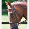 Equilibrium Net Relief Muzzle Net -Brown 1 Equilibrium Net Relief Muzzle Net -Brown -Equestrian Supply Store fm 2012 02 16 11 39 53 27488