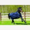 Amigo Bravo 12 100g Turnout Rug - Navy/Electric Blue