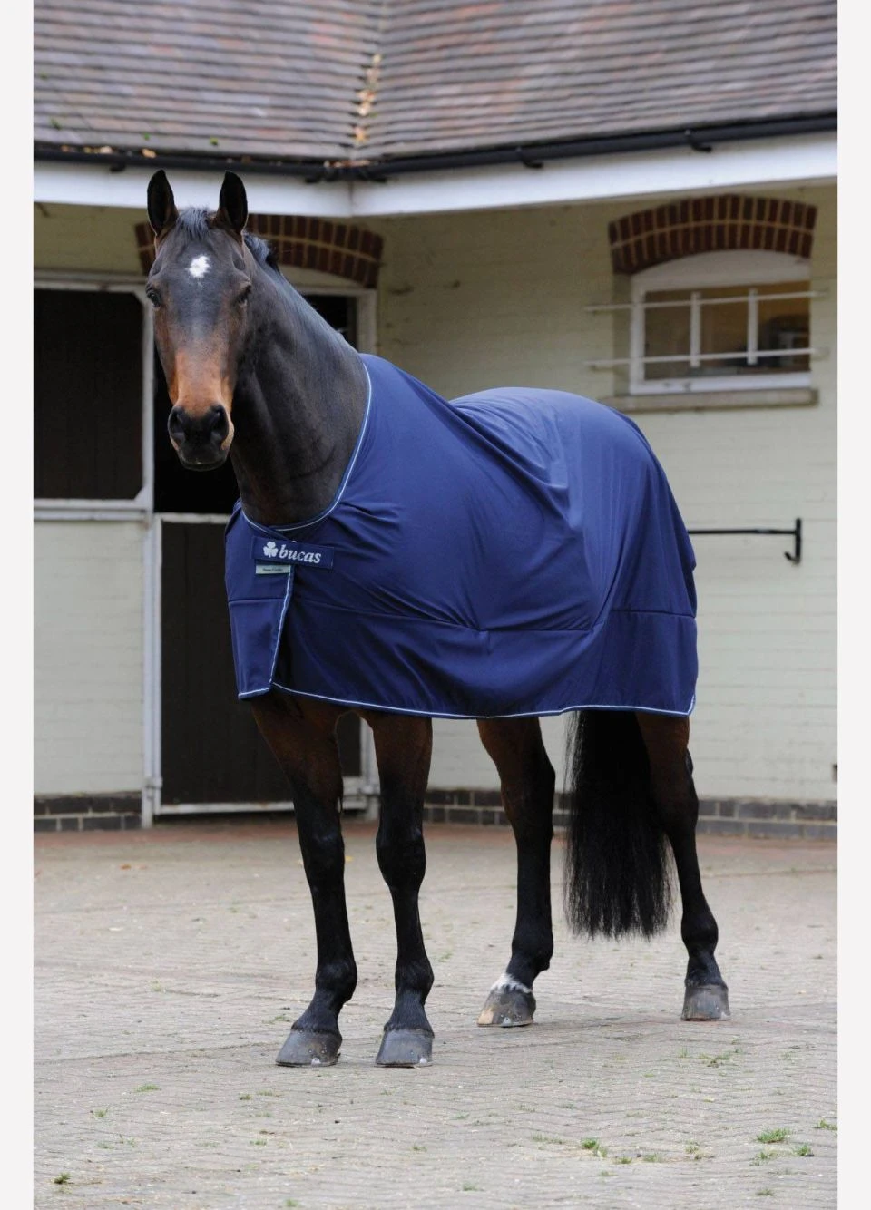 New Bucas Power Cooler - Navy 3 New Bucas Power Cooler - Navy