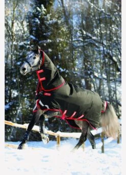 Rambo Supreme Vari-Layer Heavy Turnout Rug 450g - Black/Red -Equestrian Supply Store fm 2014 01 15 04 30 46 67142
