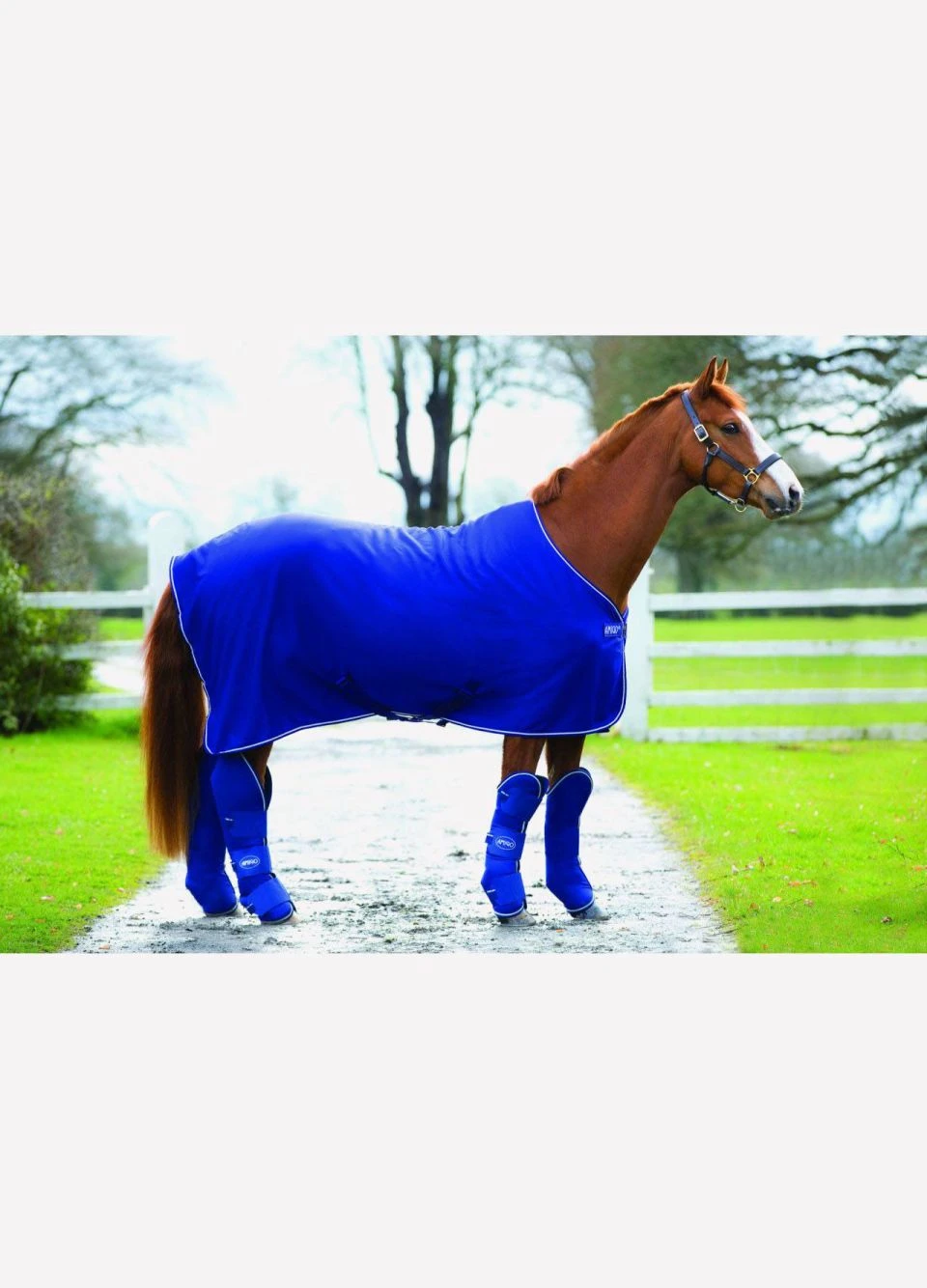 Amigo Travel Boots - Atlantic Blue 4 Amigo Travel Boots - Atlantic Blue - Image 2