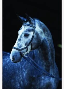 Rambo Micklem Competition Bridle - Black -Equestrian Supply Store fm 2014 05 08 11 06 21 86625