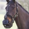 Greenguard Headcollar - Black