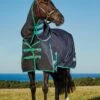 Weatherbeeta Green-Tec 900D Detach-A-Neck Heavy Turnout - Black/Bottle Green 1 Weatherbeeta Green-Tec 900D Detach-A-Neck Heavy Turnout - Black/Bottle Green -Equestrian Supply Store greentechdanhvyrdy