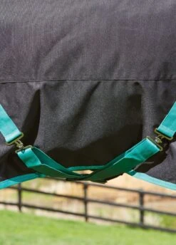 Weatherbeeta Green-Tec 900D Detach-A-Neck Medium Turnout - Black/Bottle Green -Equestrian Supply Store greentechfeatures1rdy 1