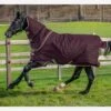 Amigo Hero Ripstop Plus Turnout Rug Lite 0g - Fig