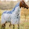Amigo AmECO Combi Fly Rug - Teal/Grey -Equestrian Supply Store horseware ameco fly tealgrey 1rdy