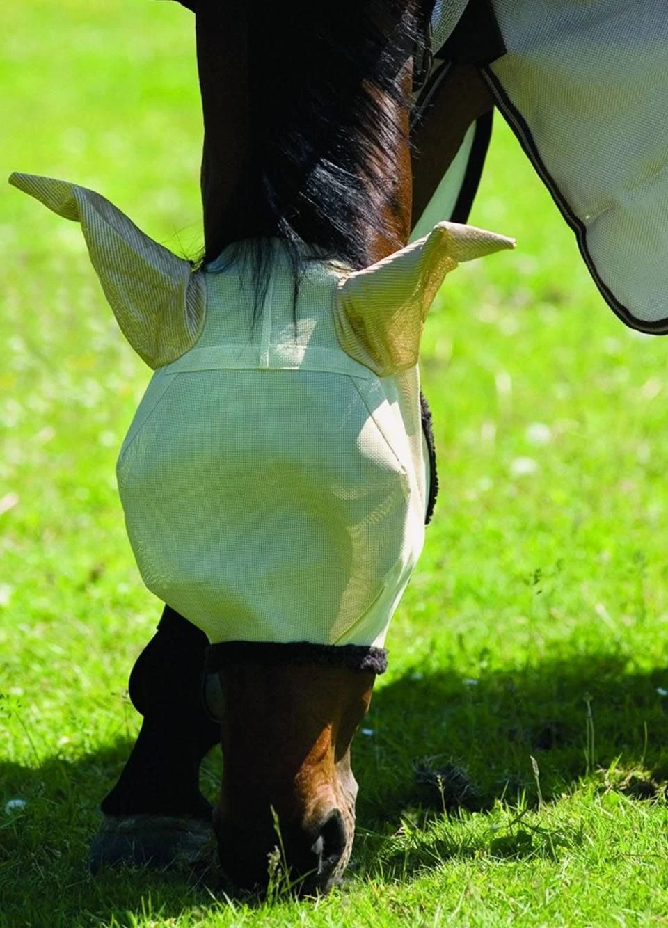 Amigo Fly Mask - Oatmeal 3 Amigo Fly Mask - Oatmeal