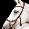 Horseware Micklem 2 Competition Bridle - Dark Havana -Equestrian Supply Store hw micklem2 bridle dkhavana 1rdy
