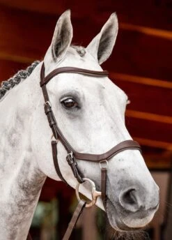 Horseware Micklem 2 Competition Bridle - Dark Havana -Equestrian Supply Store hw micklem2 bridle dkhavana 2rdy