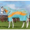 Amigo Three-In-One Evolution - Aqua/Orange -Equestrian Supply Store hwevolutionaquardy