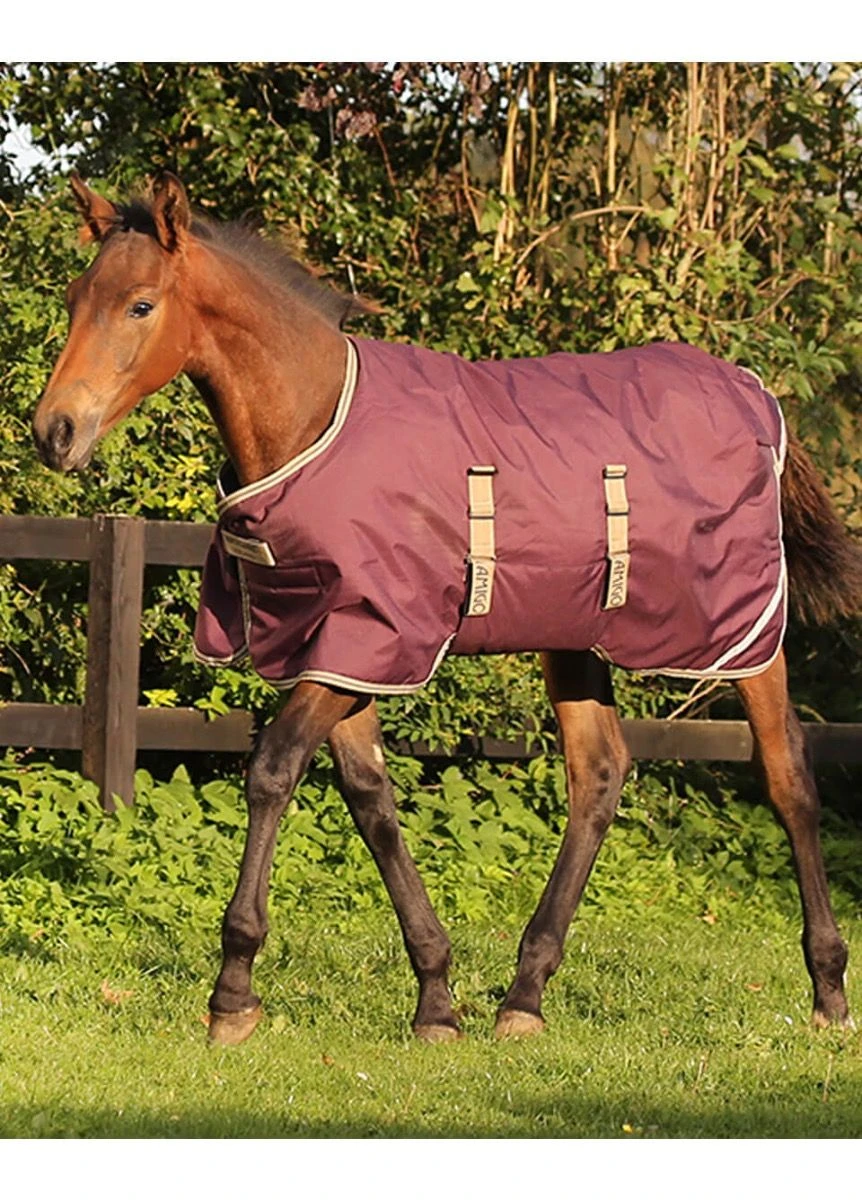 Horseware Ripstop Foal Rug - Fig/Navy/Tan 3 Horseware Ripstop Foal Rug - Fig/Navy/Tan