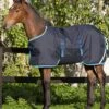 Horseware Ripstop Foal Rug - Navy/Electric 1 Horseware Ripstop Foal Rug - Navy/Electric -Equestrian Supply Store hwfoalrugnavyelectric1rdy